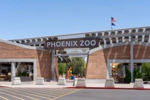 Family feeding giraffes at the Phoenix Zoo in Arizona