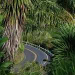 Road to Hana