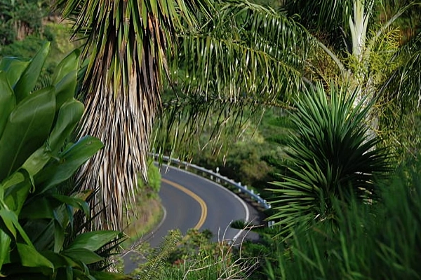 Road to Hana