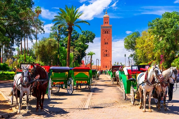 Things to Do in Marrakech