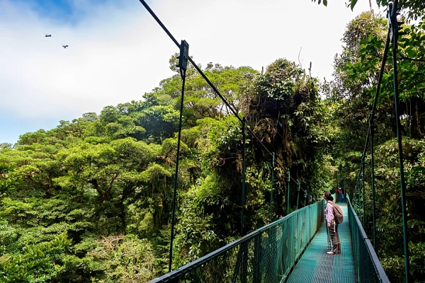 Sustainable eco-tourism experience on a rainforest canopy bridge in Costa Rica.