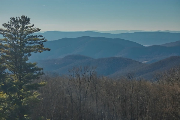 Day Trips in Virginia: Top Destinations Worth Exploring