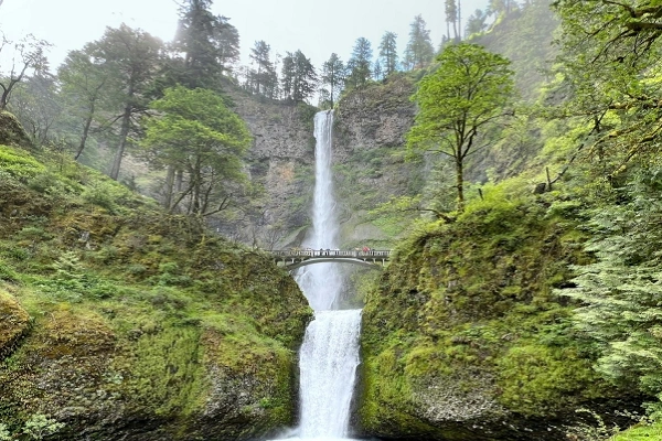 Waterfalls Near Portland, Oregon – Complete 2026 Guide