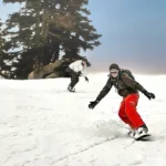 Two snowboarders riding down a snow-covered mountain slope surrounded by pine trees