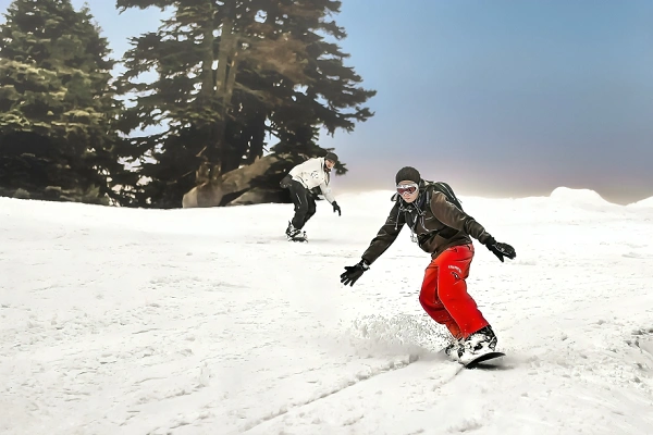 Two snowboarders riding down a snow-covered mountain slope surrounded by pine trees